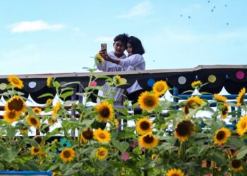 Menikmati Taman Bunga Matahari di Kabupaten Tangerang
