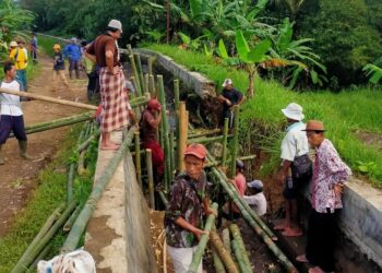 APBD “Tak Berdaya”, Petani Swadaya Perbaiki Irigasi yang Jebol