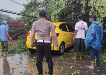 Hujan Deras di Tangsel, Mobil Brio tertimpa Pohon Tumbang