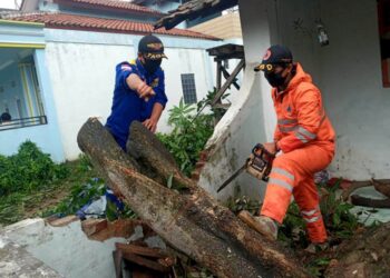 Belasan Rumah Rusak, Sejumlah Pohon Tumbang, Saat Hujan Deras Disertai Angin Kencang Melanda Kota Cilegon