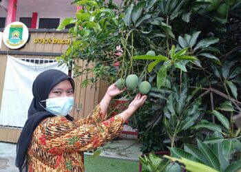 Vakum Empat Tahun, SDN Taman Sukarya 1 Raih Adiwiyata Banten