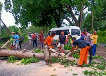 Pohon tumbang sempat tutup akses menuju wisata pantai Anyer, Sabtu (27/11/2021)