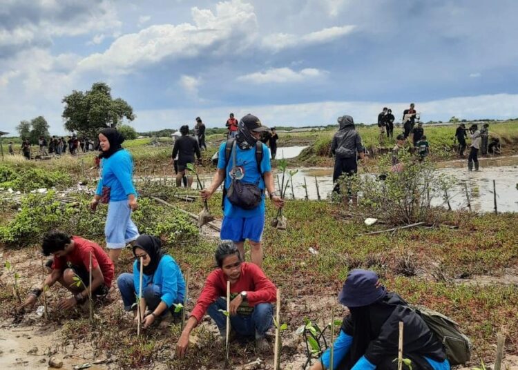 Mangrove Pulo Cangkir Bertambah 1.000 dari Komunitas Pecinta Alam Tangerang