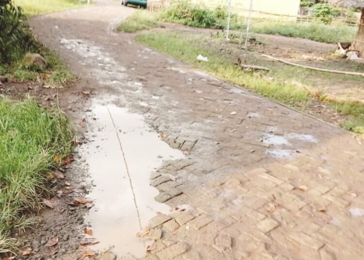 Warga Sodong Berharap Perbaikan Jalan Desa