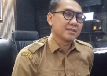 Plt Kepala DPKPTB Kabupaten Serang, Okeu Oktaviana. (DOKUMEN/SATELITNEWS.ID)