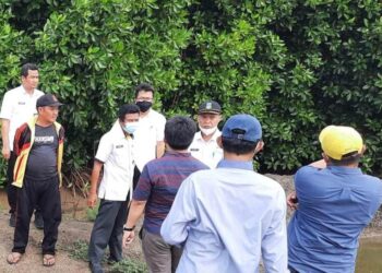 DKPP Kabupaten Serang meninjau lokasi tanaman mangrove, di Kecamatan Tanara, Rabu (16/2/2022). (ISTIMEWA)