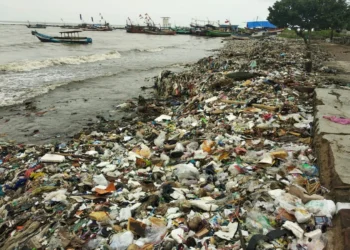 Miris, Pesisir Pantai Teluk di Labuan Dipenuhi Sampah