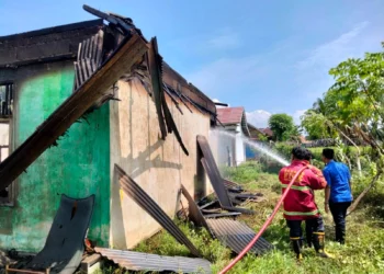 Petugas Damkar memadamkan api yang membakar Balai Pertanian di Kabupaten Serang, Rabu (16/3/2022). (ISTIMEWA)