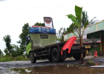 Salah satu titik jalan rusak di jalur Kadubanen – Cipacung, Kabupaten Pandeglang, yang ditanami pohon pisang, Senin (7/3/2022). (MARDIANA/SATELITNEWS.ID)