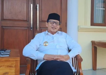 Gubernur Banten Wahidin Halim (IST)