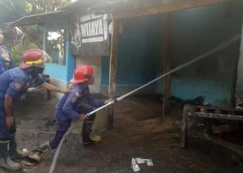 Petugas Damkar BPBD Kabupaten Serang, sedang memadamkan kobaran api. (ISTIMEWA)