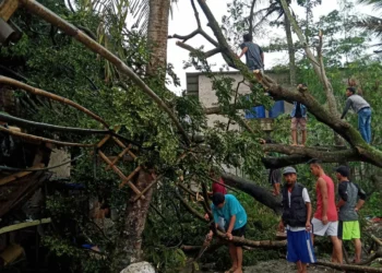 Sejumlah warga memotong pohon tumbang yang menimpa rumah, di Kabupaten Serang, Senin (16/5/2022). (ISTIMEWA)