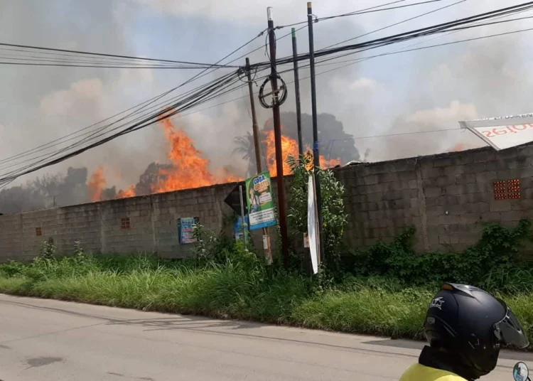 Pabrik bingkai lukisan di Kabupaten Serang terbakar, Selasa (21/6/2022). (ISTIMEWA)