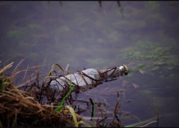 Pencemaran Sungai Cimanceuri di Desa Pasir Bolang Disorot