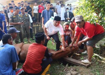 Pj Gubernur Banten Jadi Jagal, Potong 10 Hewan Kurban
