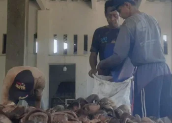 Para pekerja, sedang memproduksi kopra di gudang petani kopra, di Kecamatan Cigeulis, Kabupaten Pandeglang, Selasa (5/7/2022). (ISTIMEWA)