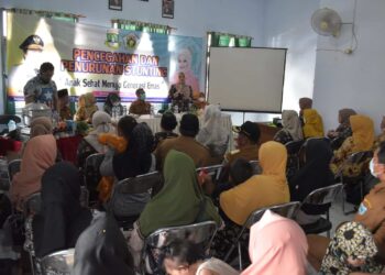 Ketua BKOW Provinsi Banten, Adde Rosi Khairunnisa, sedang sambutan, di Aula Kecamatan Koroncong, Kabupaten Pandeglang, Selasa (16/8/2022). (ISTIMEWA)